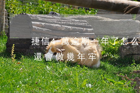 捷信4萬逾期一年了怎么辦(捷信貸款四萬不還會做幾年牢)