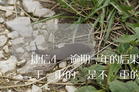 捷信4萬逾期一年的后果(捷信逾期四個月屬于嚴重的還是不嚴重的)