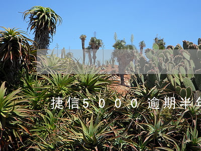 捷信5000逾期半年會(huì)起訴嗎