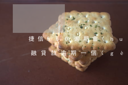 捷信660逾期會(huì)怎么樣(捷信金融貸款逾期一個(gè)月會(huì)不會(huì)被起訴)