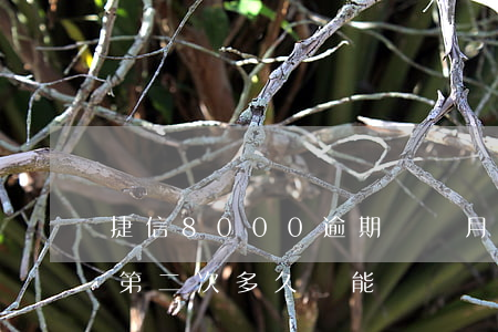 捷信8000逾期兩個月(捷信逾期過一個月,第二次多久還能辦嗎)