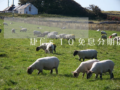 捷信s10免息分期(捷信免息分期是冷坑吗)