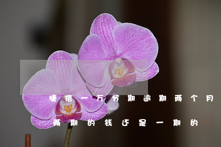 捷信一万分期逾期两个月(捷信逾期了一天还两期的钱还是一期的)