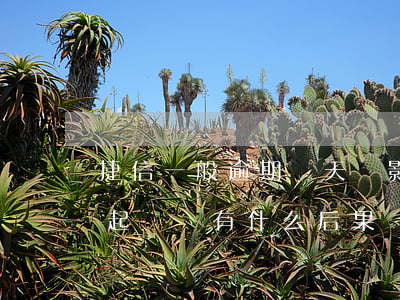 捷信一般逾期幾天沒影響(捷信逾期多久會被起訴會有什么后果)