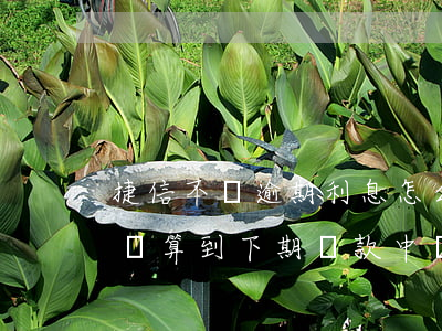捷信不還逾期利息怎么算(捷信逾期的罰息是計算到下期還款中嗎)