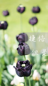 捷信之前逾期过还能借吗(捷信之前有过逾期,但是已结清,还能贷款吗)
