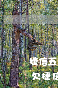 捷信五萬54期逾期了會(huì)起訴嗎(欠捷信4千5沒有還,他說會(huì)起訴到法院是真的嗎)