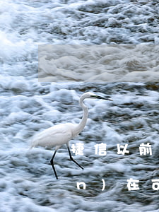 捷信以前逾期兩年過(guò)現(xiàn)在可以辦么-捷信以前逾期過(guò)那都是兩年的事了現(xiàn)在還能貸款嗎