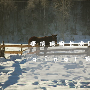 捷信信用卡逾期(有捷信逾期記錄還能申請(qǐng)信用卡嗎)