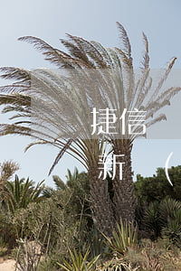 捷信個(gè)性化分期(捷信分期2020新規(guī))