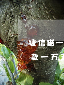 捷信借一万逾期3年后还款怎样做-捷信欠款一万五逾期三年会变成多少