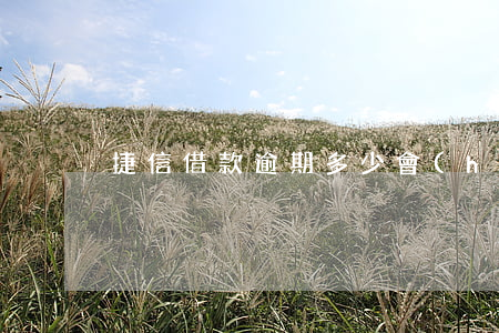 捷信借款逾期多少會(huì)被起訴