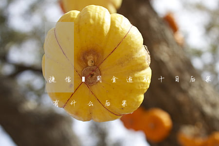 捷信備用金逾期十日后果(備用金逾期十天會有什么后果)
