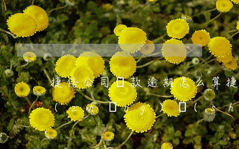 捷信公司貸款逾期怎么算(捷信貸款逾期多長(zhǎng)時(shí)間會(huì)導(dǎo)致合同失效?)