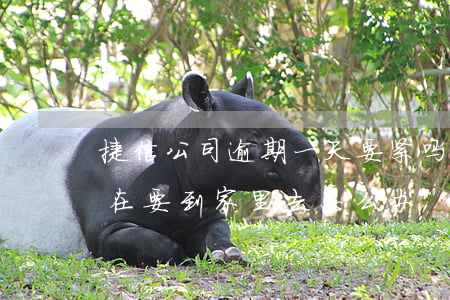 捷信公司逾期一天要紧吗(捷信逾期一年了现在要到家里去怎么办)