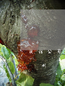 捷信公司逾期影響信用卡嗎(捷信貸款逾期了會影響信用卡?)