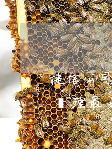 捷信公司逾期怎么處理-捷信公司逾期怎么處理最好