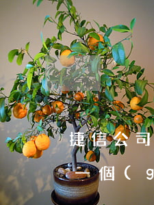 捷信公司逾期是多少利息(捷信金融貸款逾期一個(gè)月會(huì)不會(huì)被起訴)