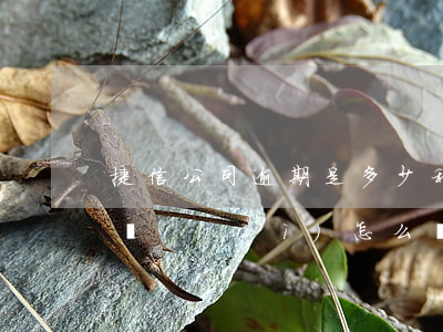 捷信公司逾期是多少利息是多少-捷信逾期會(huì)怎么樣?捷信逾期后果很嚴(yán)重嗎?
