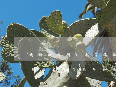 捷信公逾期3年了还能买飞机是怎么回事-捷信逾期了三年,如果把欠款还清未来可以分期买房吗