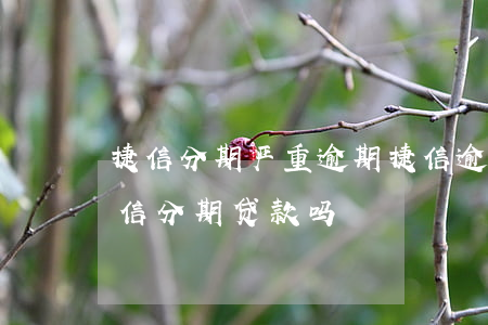 捷信分期严重逾期(捷信逾期半个月还能做捷信分期贷款吗)