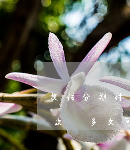 捷信分期付款逾期3個月(捷信分期逾期過一次過多久可以恢復使用)