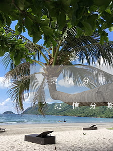 捷信分期付款逾期一個(gè)月還不起-捷信分期付款逾期一個(gè)月還不起怎么辦