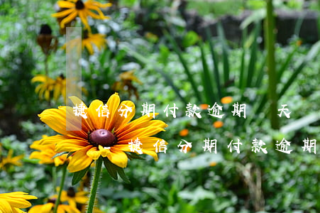 捷信分期付款逾期兩天還會(huì)怎么樣-捷信分期付款逾期兩天還會(huì)怎么樣嗎