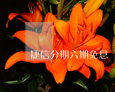 捷信分期六期免息嗎(捷信分期6期利息多少)