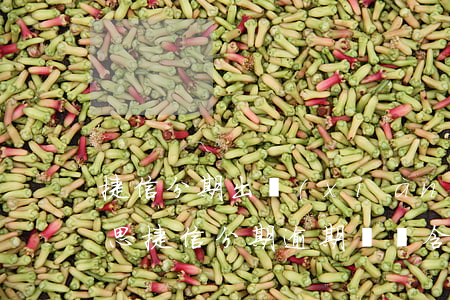 捷信分期出現(xiàn)逾期記錄什么意思，捷信分期逾期記錄：含義及影響解析