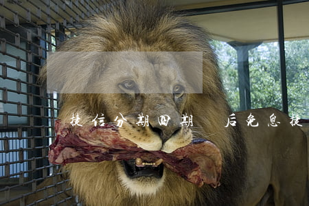 捷信分期四期過后免息(捷信分期三期免息嗎)