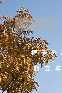 捷信分期手机逾期20天(捷信分期买手机逾期五年算是几次逾期)