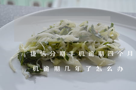 捷信分期手机逾期四个月(捷信分期付款买手机逾期几年了怎么办)