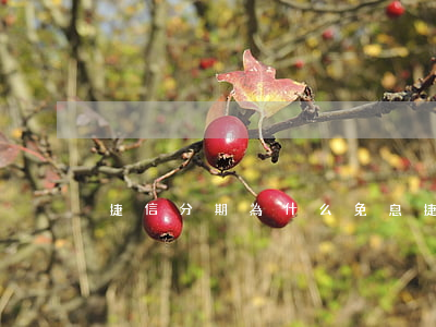 捷信分期為什么免息 捷信分期免息嗎
