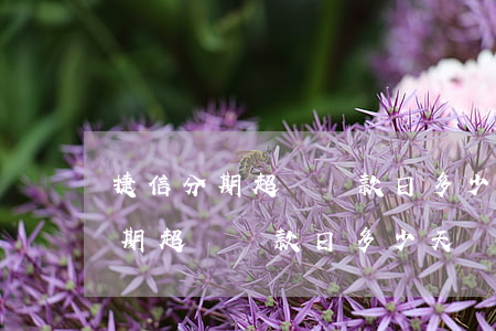 捷信分期超過還款日多少天為逾期-捷信分期超過還款日多少天為逾期了