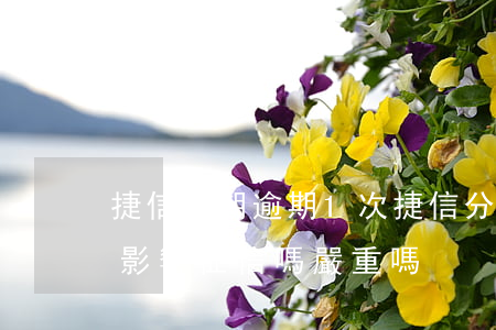 捷信分期逾期1次(捷信分期逾期一個星期會影響征信嗎嚴重嗎)