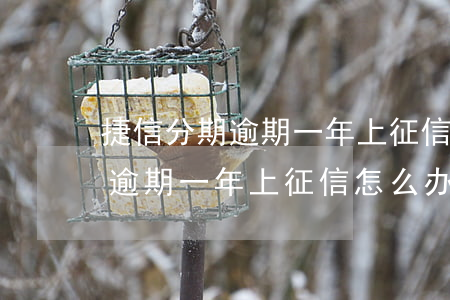 捷信分期逾期一年上征信怎么办-捷信分期逾期一年上征信怎么办呢