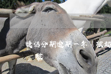 捷信分期逾期一年會被起訴嗎(捷信分期不還會被訴訟嗎)