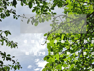 捷信分期逾期三个月后果(捷信逾期半个月还能做捷信分期贷款吗)