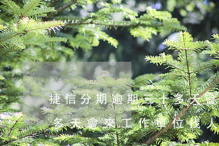 捷信分期逾期三十多天會(捷信分期逾期三十多天會來工作單位找人嗎)