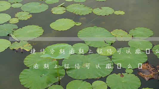 捷信分期逾期上征信可以撤銷么-捷信分期逾期上征信可以撤銷么嗎