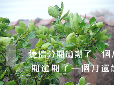捷信分期逾期了一個月還能分期嗎-捷信分期逾期了一個月還能分期嗎