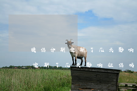 捷信分期逾期了几天影响征信吗-捷信分期逾期了几天影响征信吗怎么办