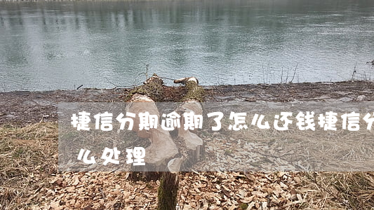 捷信分期逾期了怎么还钱(捷信分期还完后怎么处理)