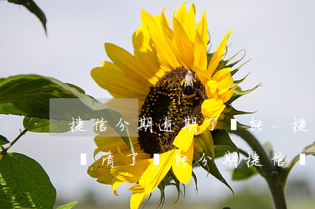 捷信分期逾期了還能-捷信有過逾期了,把錢還清了,還能分期捷信嗎?