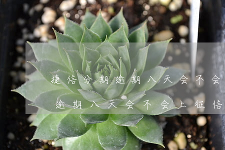 捷信分期逾期八天会不会上征信-捷信分期逾期八天会不会上征信报告