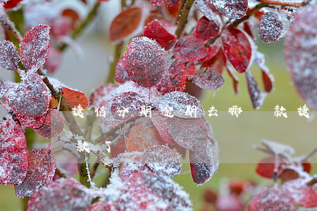 捷信分期逾期去哪還款(捷信分期逾期去哪還款了)