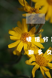 捷信分期逾期多久起訴怎樣(捷信手機分期逾期多久會被起訴:有規(guī)定嗎?)