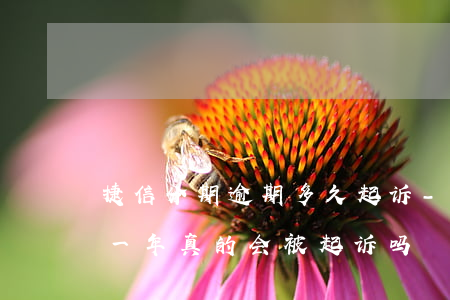 捷信分期逾期多久起诉-捷信金融分期逾期一年真的会被起诉吗