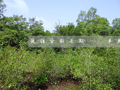 捷信分期逾期記錄多久才能消失-